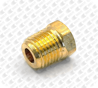 Picture of W3152 HEX PLUG NPT