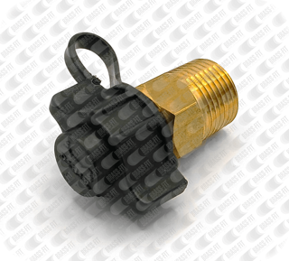 Picture of TP06 3/8" TEST POINT NPT